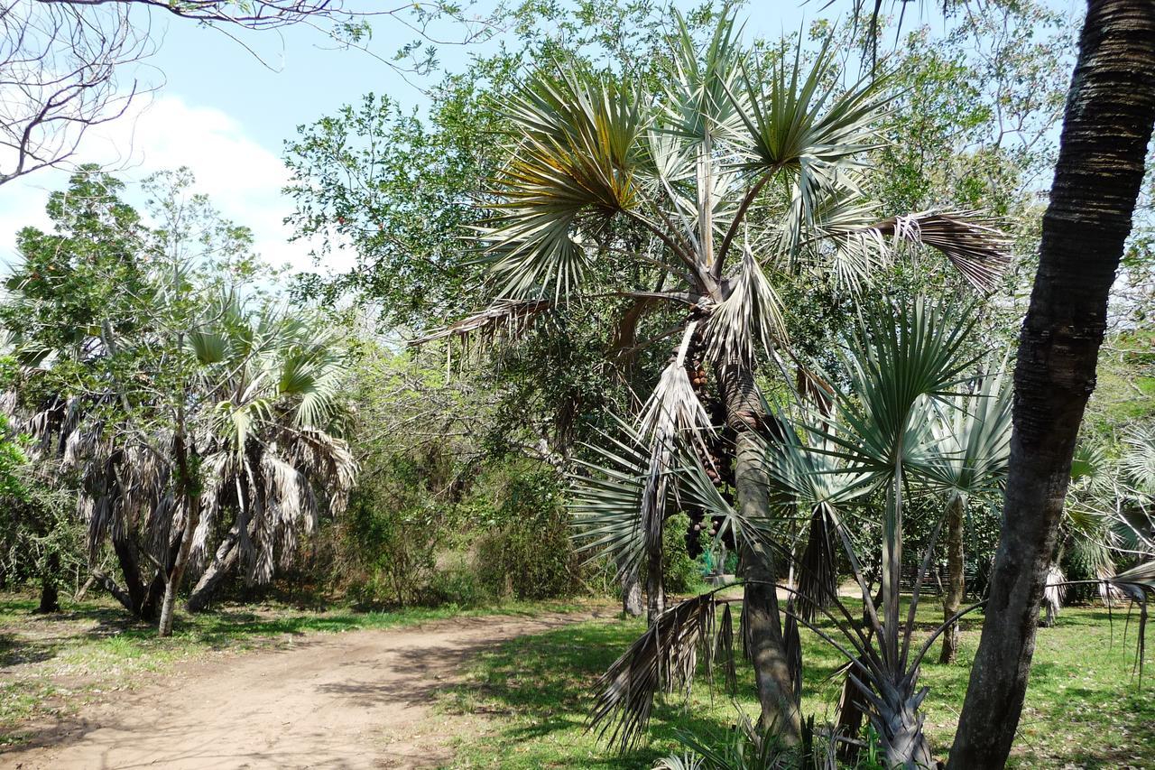 Isinkwe Bush Camp Βίλα Hluhluwe Εξωτερικό φωτογραφία